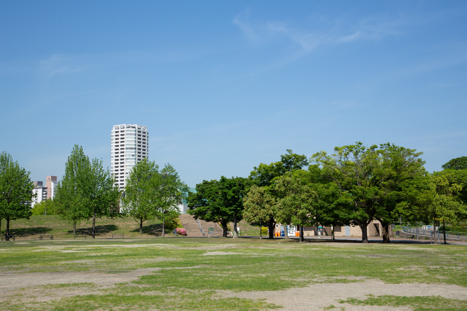 勝山公園 大芝生広場。小倉城を背景に広々した芝生が広がる